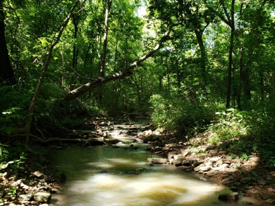 28 Acre Sugarloaf Mountain Wooded Home Site - For Sale - image 12