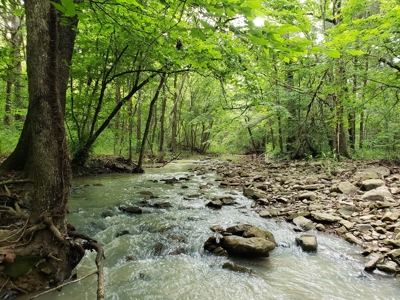28 Acre Sugarloaf Mountain Wooded Home Site - For Sale - image 6