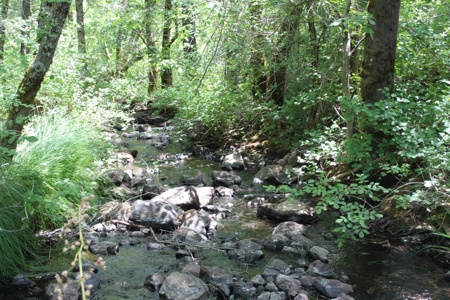 Waterfront Property for Sale - image 1