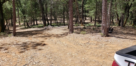 Waterfront Property for Sale - image 5