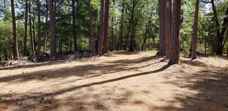 Waterfront Property for Sale - image 4