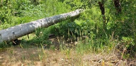 Waterfront Property for Sale - image 10