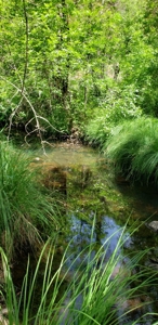 Waterfront Property for Sale - image 7