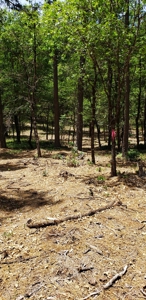 Waterfront Property for Sale - image 12