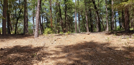Waterfront Property for Sale - image 13