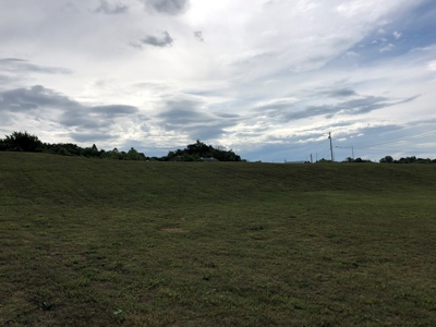 4 Acres Commercial Property in Mosheim, TN For Sale - image 8