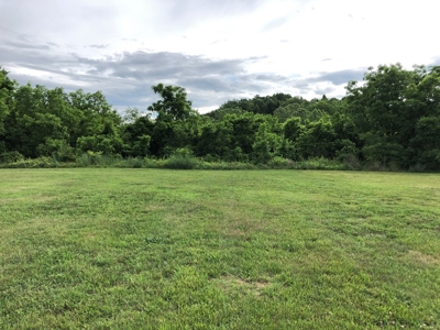 4 Acres Commercial Property in Mosheim, TN For Sale - image 21