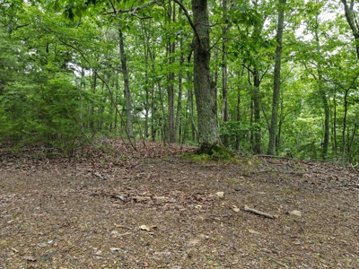 Gaston County, NC | Land For Sale with Mountain Views - image 13