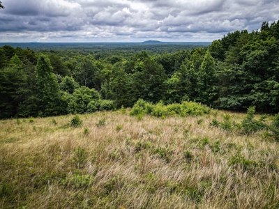 Gaston County, NC | Land For Sale with Mountain Views - image 11