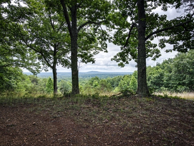 Gaston County, NC | Land For Sale with Mountain Views - image 14