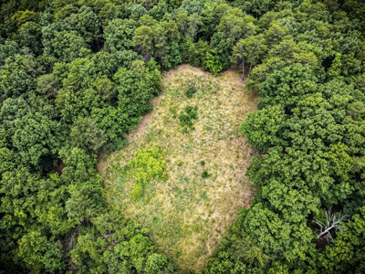 Gaston County, NC | Land For Sale with Mountain Views - image 7