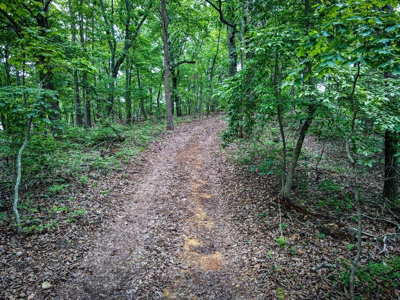 Gaston County, NC | Land For Sale with Mountain Views - image 17