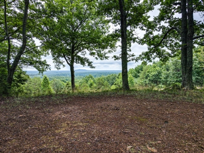 Gaston County, NC | Land For Sale with Mountain Views - image 12