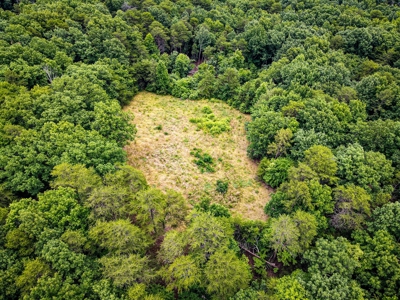 Gaston County, NC | Land For Sale with Mountain Views - image 8