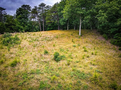 Gaston County, NC | Land For Sale with Mountain Views - image 9