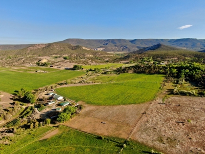 Colorado Country Home with Center Pivot Irrigation, Barn - image 4