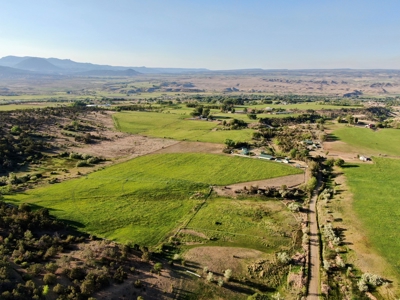 Colorado Country Home with Center Pivot Irrigation, Barn - image 5