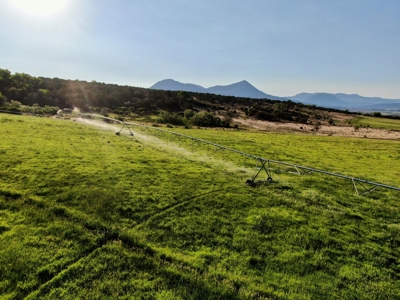 Colorado Country Home with Center Pivot Irrigation, Barn - image 6