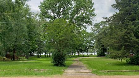 Waterfront Lot For Sale On Lake Palestine | Chandler Tx - image 2