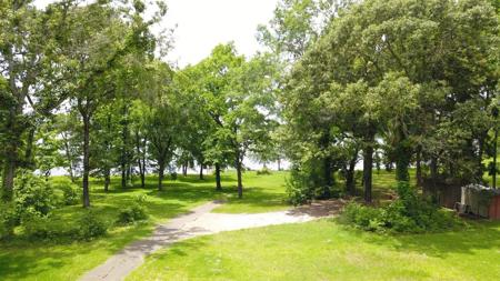 Waterfront Lot For Sale On Lake Palestine | Chandler Tx - image 20