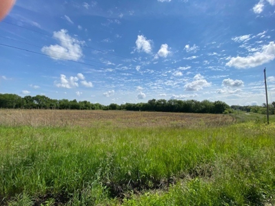 Maysville Mo Row Crop Farm For Sale - image 2