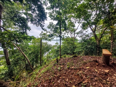 Waterfront Lot with Abundance of Potential - image 11