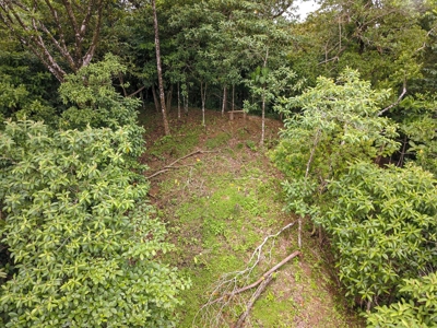 Waterfront Lot with Abundance of Potential - image 16