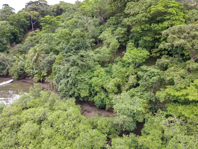 Waterfront Lot with Abundance of Potential - image 2