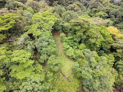 Waterfront Lot with Abundance of Potential - image 15
