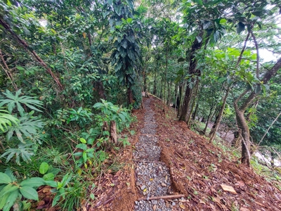 Waterfront Lot with Abundance of Potential - image 12