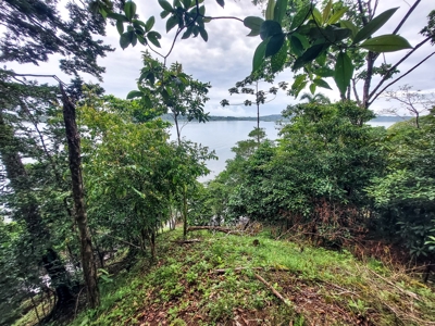 Waterfront Lot with Abundance of Potential - image 7