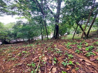 Waterfront Lot with Abundance of Potential - image 6