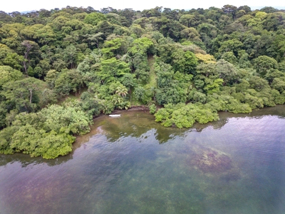 Waterfront Lot with Abundance of Potential - image 17