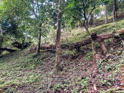Waterfront Lot with Abundance of Potential - image 14