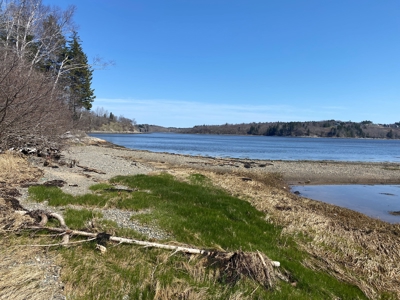 Coastal Colonial in Machiasport, Maine - image 6