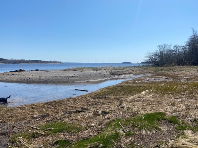 Coastal Colonial in Machiasport, Maine - image 4
