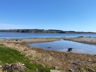 Coastal Colonial in Machiasport, Maine - image 5