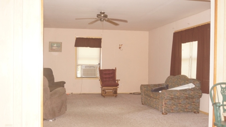 Nice cabin in Hardy, AR - image 5