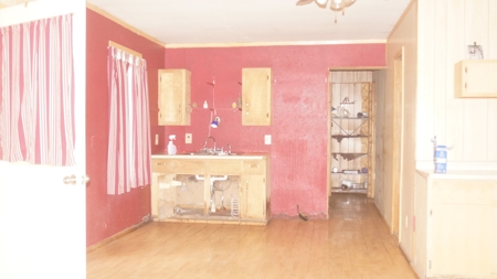 Nice cabin in Hardy, AR - image 6