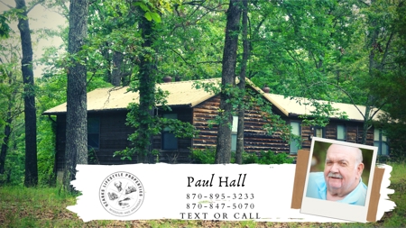 Nice cabin in Hardy, AR - image 1