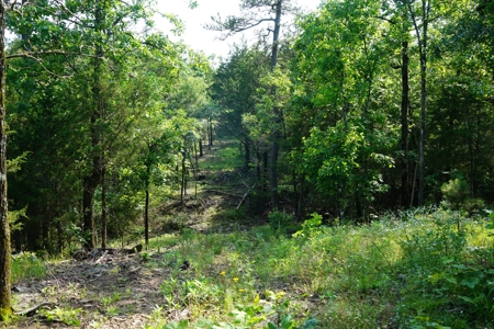 Land, Building, Pond, Creek - image 24