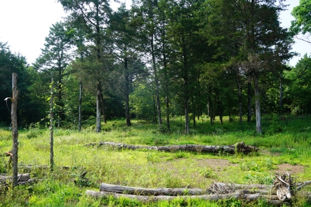 Land, Building, Pond, Creek - image 8