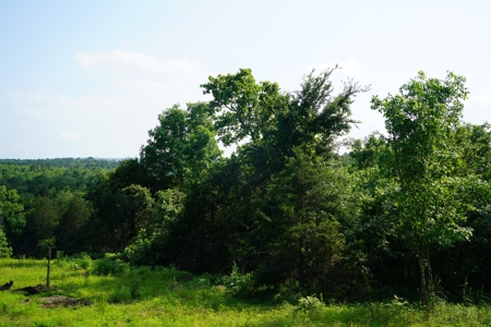 Land, Building, Pond, Creek - image 4
