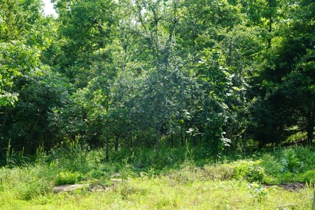 Land, Building, Pond, Creek - image 3
