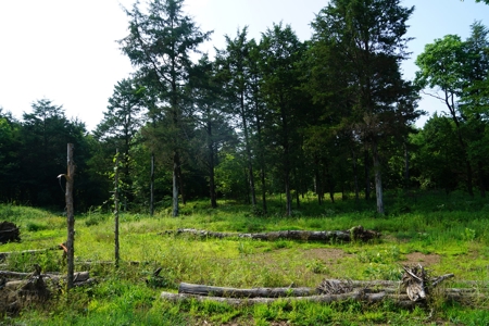 Land, Building, Pond, Creek - image 9