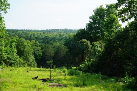 Land, Building, Pond, Creek - image 5