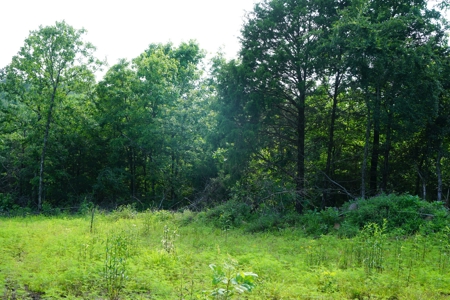 Land, Building, Pond, Creek - image 6