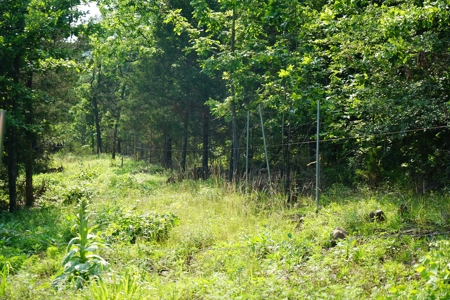 Land, Building, Pond, Creek - image 2
