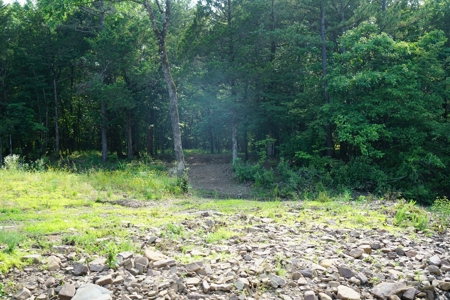 Land, Building, Pond, Creek - image 11