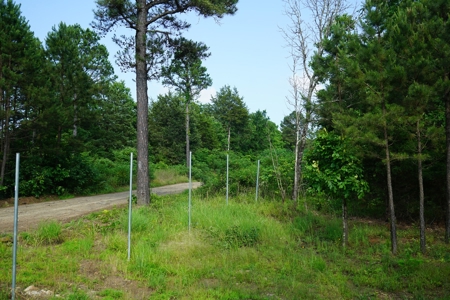Land, Building, Pond, Creek - image 13